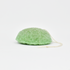 A green plant-based konjac sponge, also known as a matcha sponge, with a soft, textured surface and a string attached for use as a skincare tool.